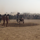 Cholistan Desert Jeep Rally-Pakistan-Wrestling